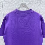 P80 DIO 2026秋冬新款 3D立体泡芙 360克圆领短袖 实物很棒 男女同款宽松版 尺码S M L XL XXL 五个码 黑色 白色 紫色