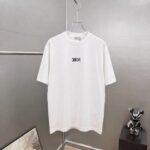 P75 Dio～胸前字母刺绣 《区别通货面料》 7a抗菌短袖tee 上身十分舒适，男女同款半袖，落肩宽松版型 颜色: 黑色 白色 咖啡色 尺码：S（90-130斤） M（125-150斤） L（135-165斤） XL（160-190斤） XXL（185-220斤）