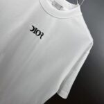 P75 Dio～胸前字母刺绣 《区别通货面料》 7a抗菌短袖tee 上身十分舒适，男女同款半袖，落肩宽松版型 颜色: 黑色 白色 咖啡色 尺码：S（90-130斤） M（125-150斤） L（135-165斤） XL（160-190斤） XXL（185-220斤）