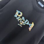 P80 PRA 2026秋冬新款 3D立体硅胶 360克圆领短袖 实物很棒 男女同款宽松版 尺码S M L XL XXL 五个码 黑色 白色 紫色