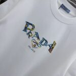 P80 PRA 2026秋冬新款 3D立体硅胶 360克圆领短袖 实物很棒 男女同款宽松版 尺码S M L XL XXL 五个码 黑色 白色 紫色