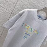 P80 PRA 2026秋冬新款 3D立体硅胶 360克圆领短袖 实物很棒 男女同款宽松版 尺码S M L XL XXL 五个码 黑色 白色 花灰