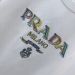 P80 PRA 2026秋冬新款 3D立体硅胶 360克圆领短袖 实物很棒 男女同款宽松版 尺码S M L XL XXL 五个码 黑色 白色 花灰