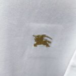 P75 BBR* 巴宝莉* 2026新款 精致绣花小logo 300g短袖t恤 宽松版型男女同款 尺码 S M L XL XXL 黑色 白色 紫色 湖水绿