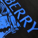 P75 Bur*berry 巴宝莉 26SS最新款战马骑士系列情侣款短袖T恤～品牌logo重工艺设计～面料上身舒适透气，不僵硬，修身的剪裁，采用高定定制纯棉面料！上身舒适有型，内搭单穿都完全没问题，时尚潮人必备！！！ 颜色：黑色 白色 码数M-XXXL