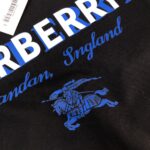 P75 BUR*BERRY 巴宝莉 26SS最新款情侣款短袖T恤～重影字母logo印花设计～面料上身舒适透气，不僵硬，修身的剪裁，采用高定定制纯棉面料！上身舒适有型，内搭单穿都完全没问题，时尚潮人必备！！！ 颜色：黑色 白色 码数：M-XXXL