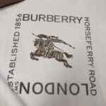 weigou_204041_2_fa9eb9da16 P75 💥 BUR*BERRY 巴宝莉 最新款短袖T恤,绝对的顶级爆款,👀👀胸前字母logo更显得不凡跟高档,大气,简约,基础,耐看,但又独具风格,结合了一款优质短袖的所有特点,百搭有型,轻松的就能营造各种风格!黄金比例的衣身裁剪设计,客供定制面料,亲肤透气,非常享受的穿着感,让人一看便觉得非常的高级不凡! 颜色:黑色 米白 码数:M-3XL( 下单请报身高体重!)