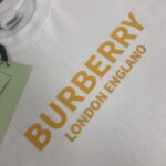 P75 💫 BURBERRY 巴宝莉 26SS新款男士圆领短袖 情侣T恤！ 高品质 🔥🔥时尚百搭潮款 定制进口面料 穿着舒适 透气 时尚不失个性 上身休闲随性 帅气有型 彰显大牌气质。三标齐全！！ 颜色：黑色 白色 灰色 尺码：M-XXXL