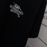 P75 BBR 巴宝*莉 2026春夏款 经典简约战马刺绣工艺 定制双纱平纹纯棉面料 短袖T恤 男女同款 颜色：黑色 白色 紫色 紫色 绿色 尺码： S （90-130斤） M （120-150斤） L （140-165斤） XL （160-180斤） XXL （180-210斤）