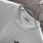 P75 BBR 巴宝*莉 2026春夏款 经典简约战马刺绣工艺 定制双纱平纹纯棉面料 短袖T恤 男女同款 颜色：黑色 白色 紫色 紫色 绿色 尺码： S （90-130斤） M （120-150斤） L （140-165斤） XL （160-180斤） XXL （180-210斤）