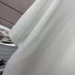 P75 BBR 巴宝*莉 2026春夏款 经典简约战马刺绣工艺 定制双纱平纹纯棉面料 短袖T恤 男女同款 颜色：黑色 白色 紫色 紫色 绿色 尺码： S （90-130斤） M （120-150斤） L （140-165斤） XL （160-180斤） XXL （180-210斤）