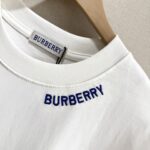 P70 款号TM1070 Burberry 巴宝莉26SS限定款胸前蓝色刺绣战马圆领短袖 面料：280克32支双纱纯棉面料 工艺：重工精梳棉 螺纹同缸同色 整体不会有色差 当下热度爆款 男女情侣款 定制原版一致辅料 三标齐全 os宽松版型 最大可穿到200斤左右 颜色：黑色 白色 尺码：S M L XL