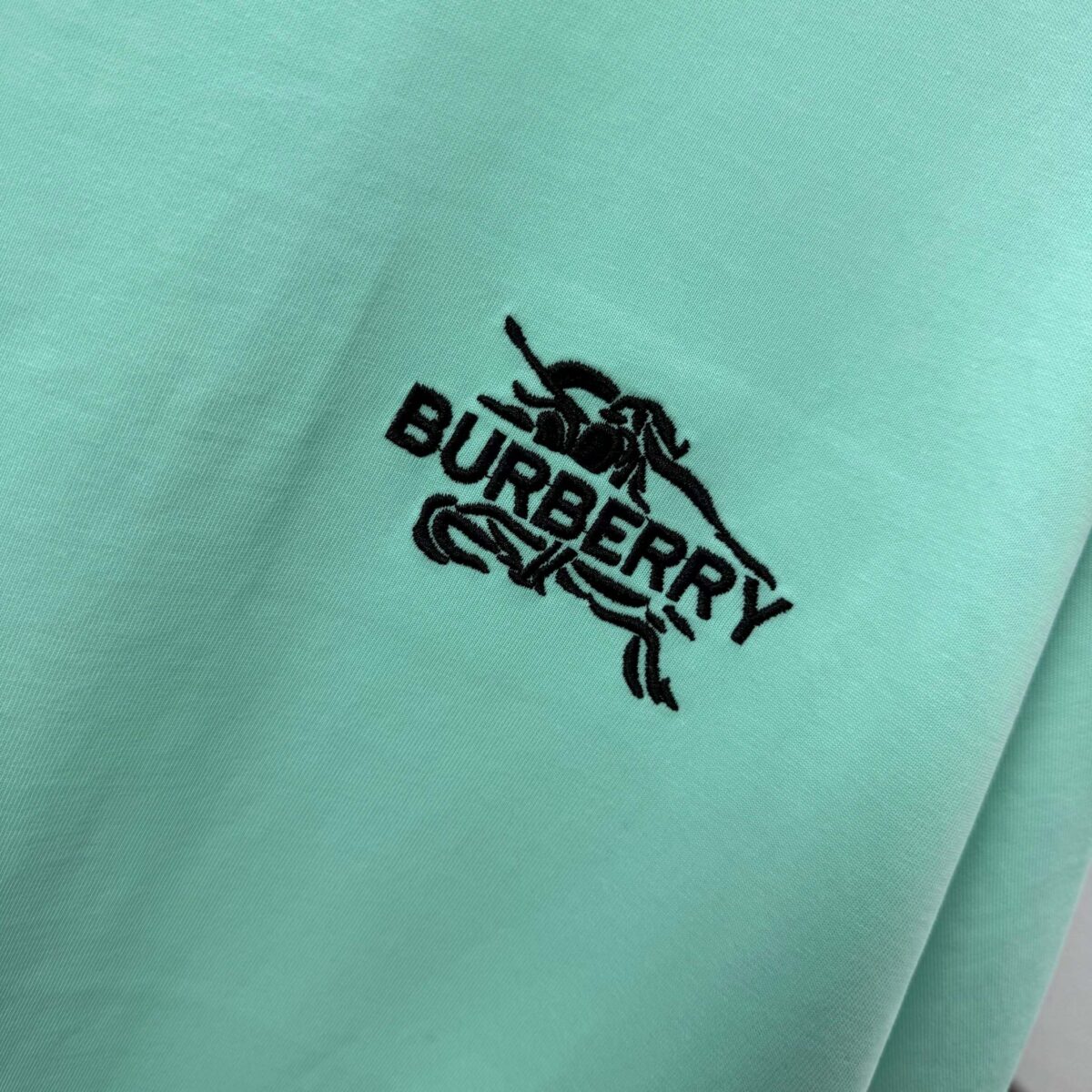 P75 BBR 巴宝*莉 2026春夏款 经典简约战马刺绣工艺 定制双纱平纹纯棉面料 短袖T恤 男女同款 颜色：黑色 白色 紫色 紫色 绿色 尺码： S （90-130斤） M （120-150斤） L （140-165斤） XL （160-180斤） XXL （180-210斤）