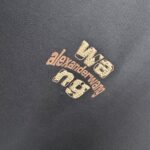 P85 大王 2026秋冬新款360克重磅短袖t恤 3D立体硅胶烫钻 圆领短袖T恤 实物很棒男女同款宽松版 尺码S M L XL XXL 五个码 黑色 白色 棕色