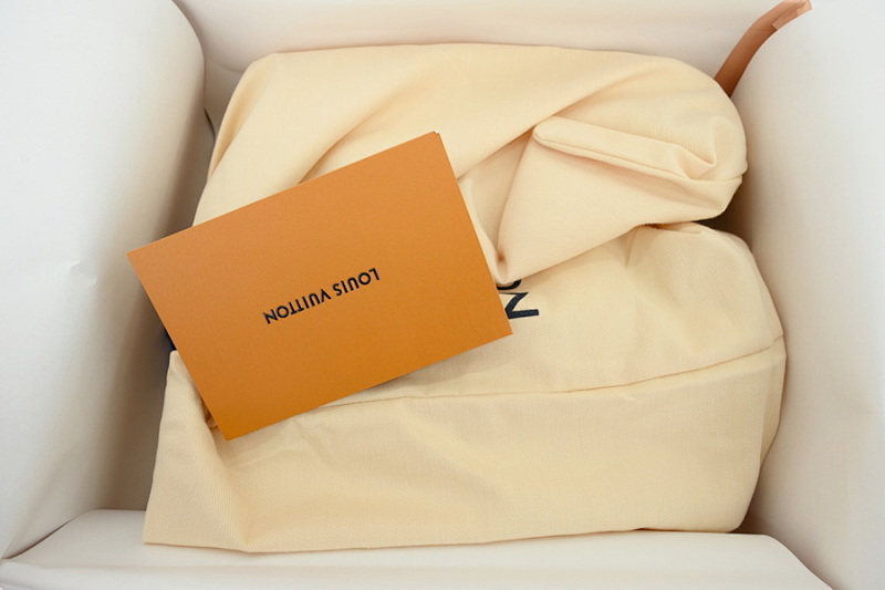 【DA5MB】白色 路易威登 LV生活休闲阿甘鞋 LOUIS VUITTON x Nigo 联名款 Buttersoft FW25 圆头系带 低帮 White
