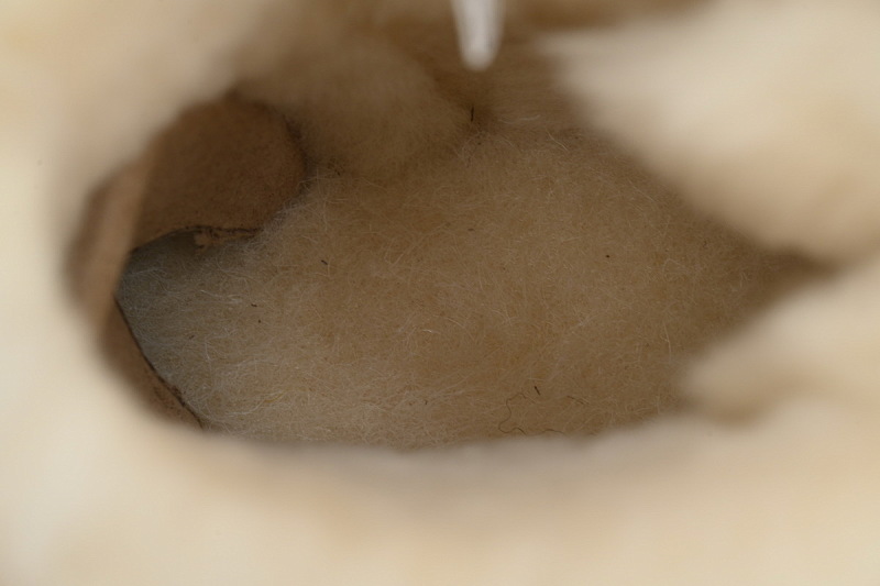 【BA8AP】蝴蝶中筒沙色 UGG 保暖中筒雪地靴 1016501 UGG Khaki