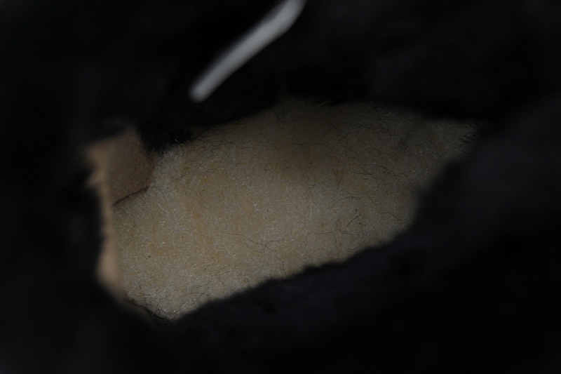 【BA8AP】蝴蝶中筒黑色 UGG 保暖中筒雪地靴 1016501 UGG Black