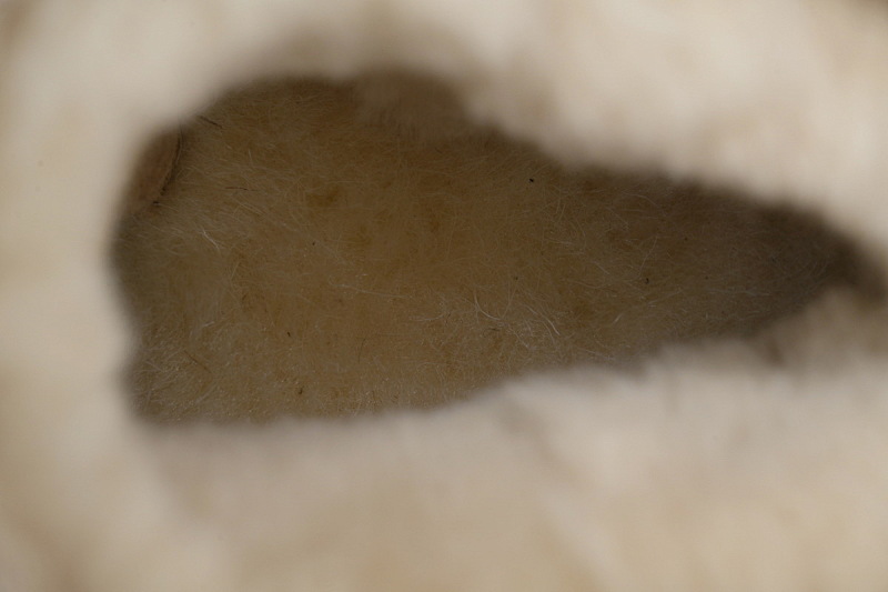 【BA9AP】渔人靴低筒沙色 UGG 保暖厚底雪地靴 1158311 UGG Khaki