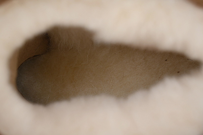 【BA9AP】渔人靴低筒栗色 UGG 保暖厚底雪地靴 1158311 UGG Brown