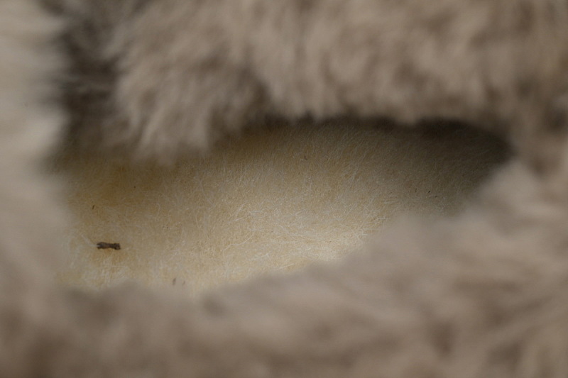【BA8AP】妮塔厚底棕色 UGG 加绒保暖雪地靴 1166733 UGG Brown