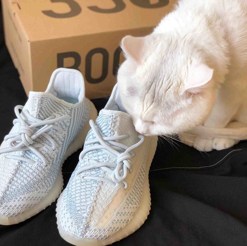 yupoo_362231_4d260f54.jpg 【AB1AH】幻兰3043 本地版真爆米花 椰子Adidas Yeezy 350 Boost V2 "Cloud White" FW3043