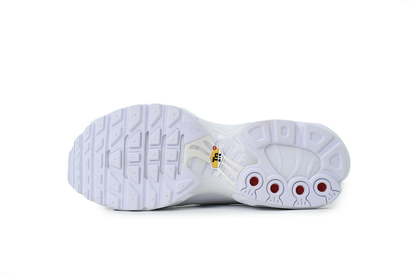 【BA3MA】白皮革 耐克 NIKE 休闲时尚跑步鞋 AJ2029-100 Nike Air Max Plus TN 'Triple White'